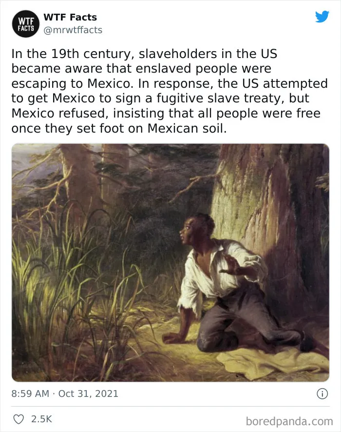 50 Random Facts That Sound Fake But Aren’t, Shared By This Twitter Account (New Pics)