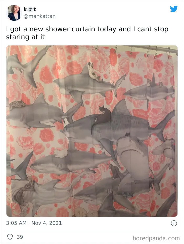 New Curtain