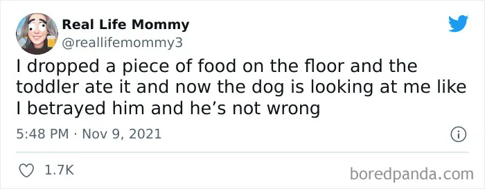 It’s Time For The Best Parenting Tweets Of The Month, And Here Are The Best Ones This November (50 Pics)
