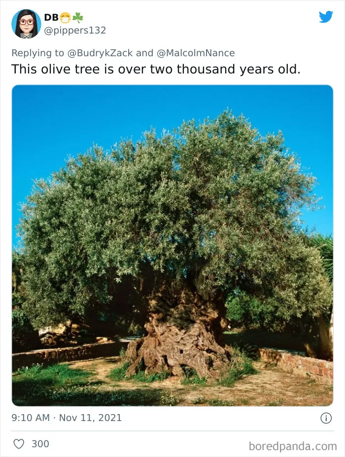 People Share 30 Facts To Change Your Perspective On History