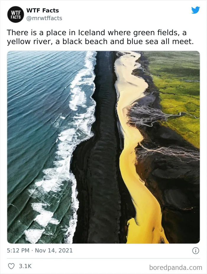 50 Random Facts That Sound Fake But Aren’t, Shared By This Twitter Account (New Pics)