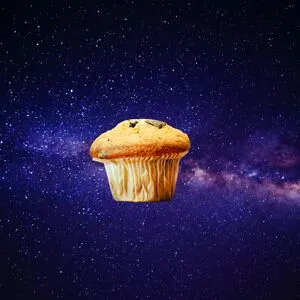 Spacemuffin