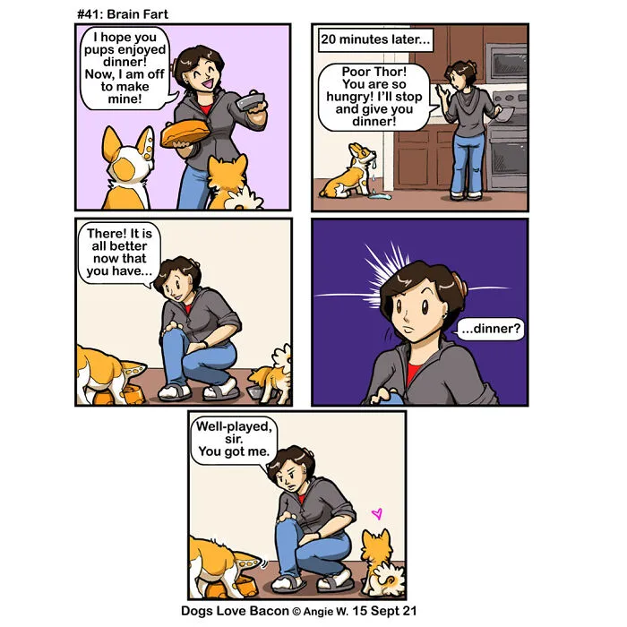 Adventures Of Living With Two Rescue Dogs: 26 Comics I’ve Made