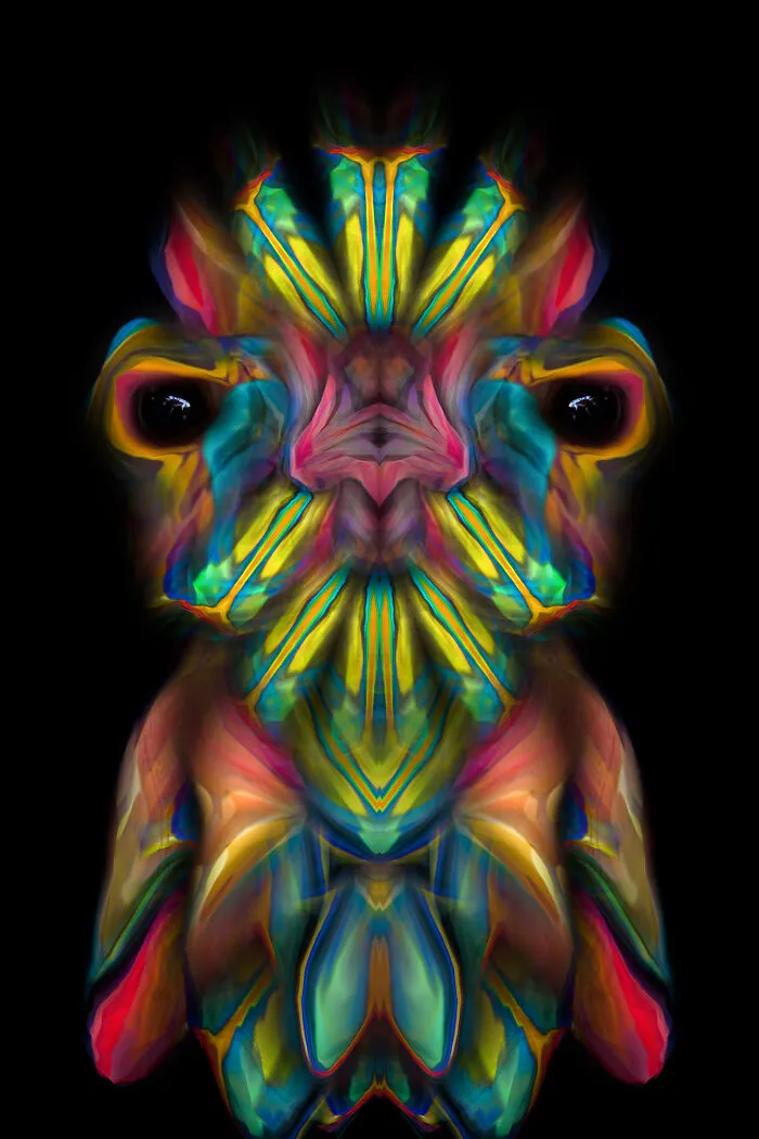 A Cosmic Gnome