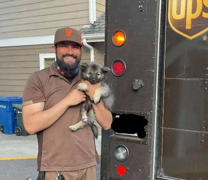 Turns Out, UPS Drivers Have A Facebook Group About Dogs They Meet On Their Routes, And It Will Make Your Day (30 New Pics)