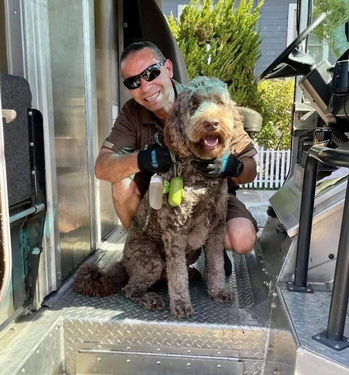 30 Conductores de UPS que se encontraron perros en sus rutas y compartieron las fotos en este grupo (Nuevas imágenes)