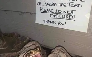 This Page Collects Photos Of 'Animals With Threatening Auras' (40 New Pics)