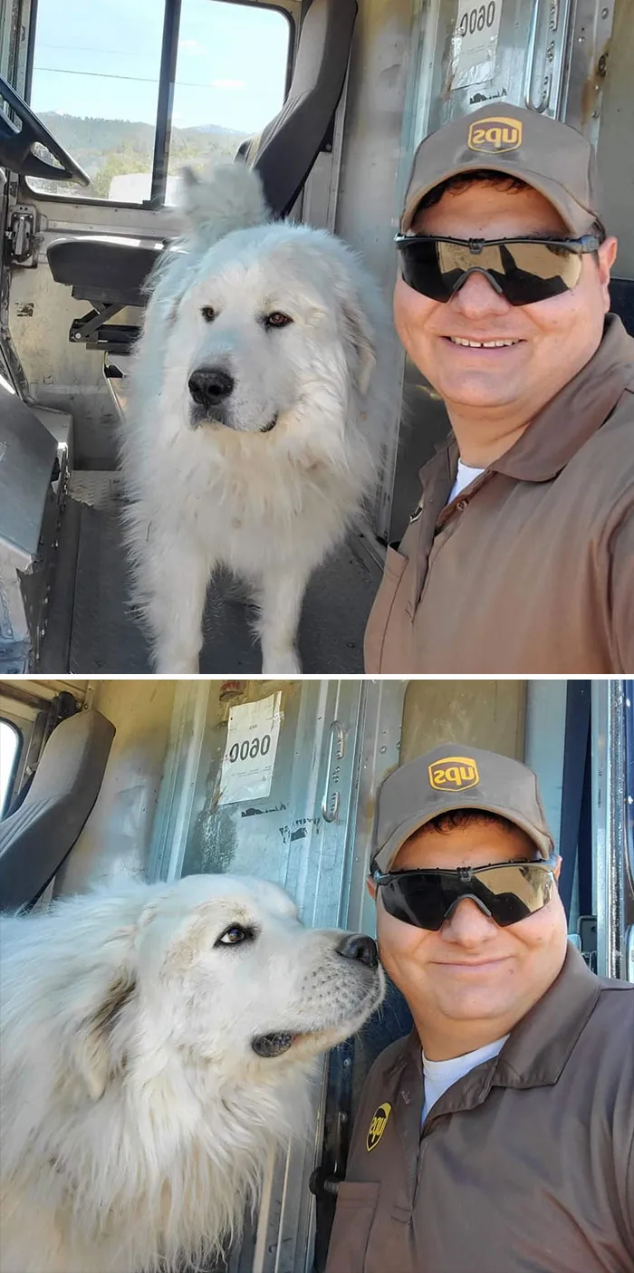30 Conductores de UPS que se encontraron perros en sus rutas y compartieron las fotos en este grupo (Nuevas imágenes)