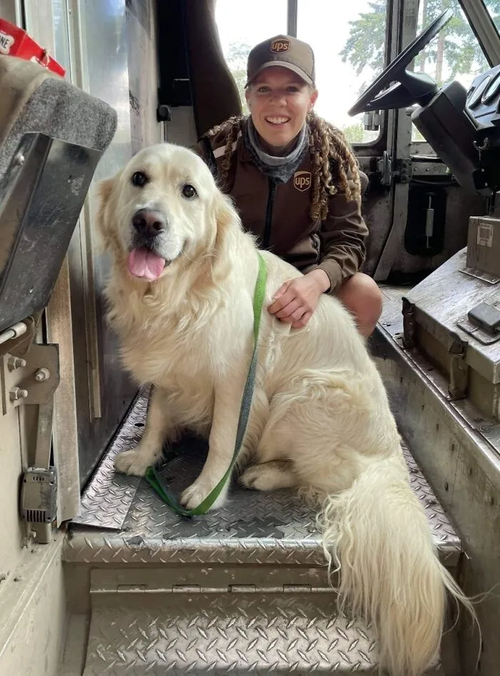 30 Conductores de UPS que se encontraron perros en sus rutas y compartieron las fotos en este grupo (Nuevas imágenes)