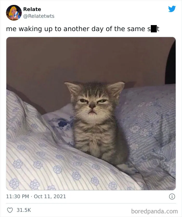 This Twitter Page Is Dedicated To Jokes And Memes Many Of Us Will Probably Relate To (50 Pics)