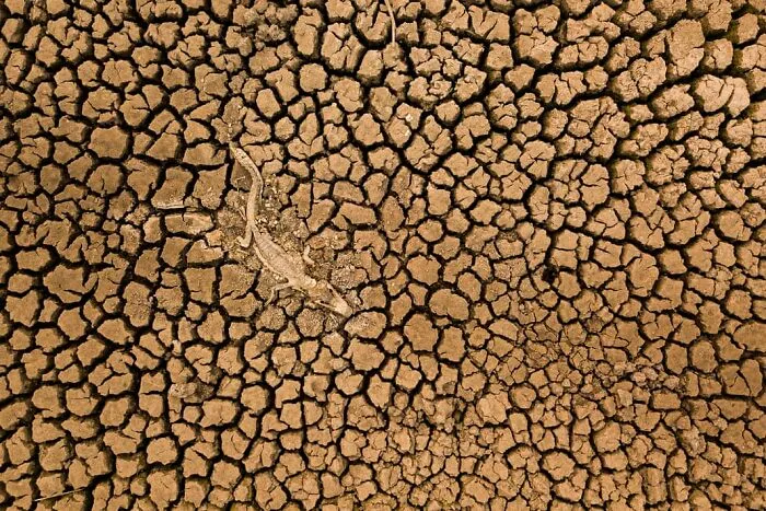 Landscape, First Place: Daniel De Granville Manço, Brazil