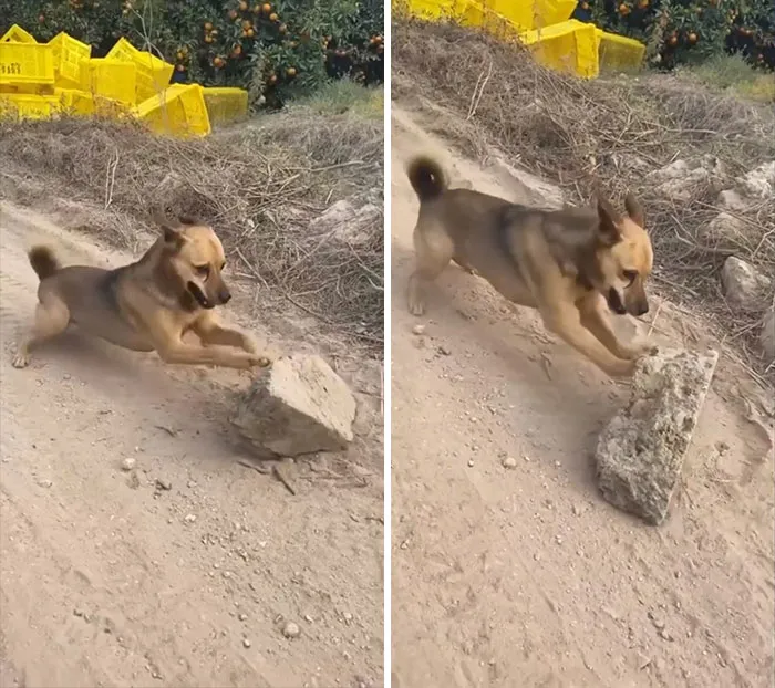 So That’s How The Pyramids Were Built...