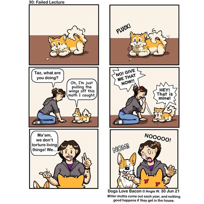 Adventures Of Living With Two Rescue Dogs: 26 Comics I’ve Made