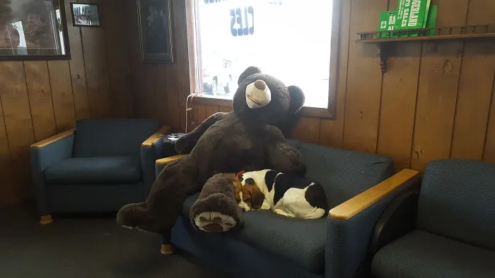 Ladybug At The Office With Her Giant Teddy Bear
