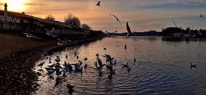 Winter Sunset
