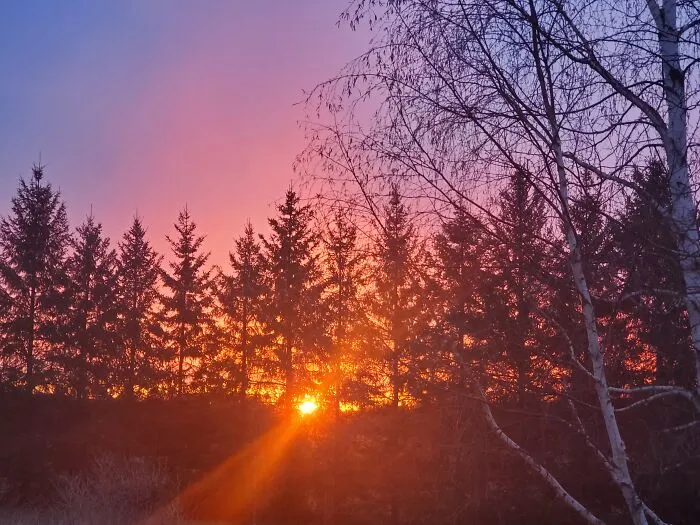 Sunrise