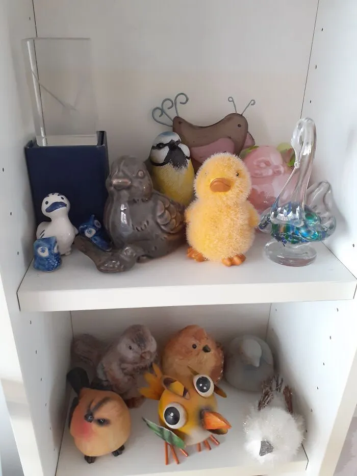 Birds!