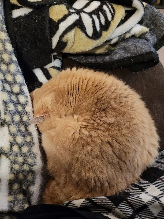 Andy Likes To Bury His Face When He Sleeps
