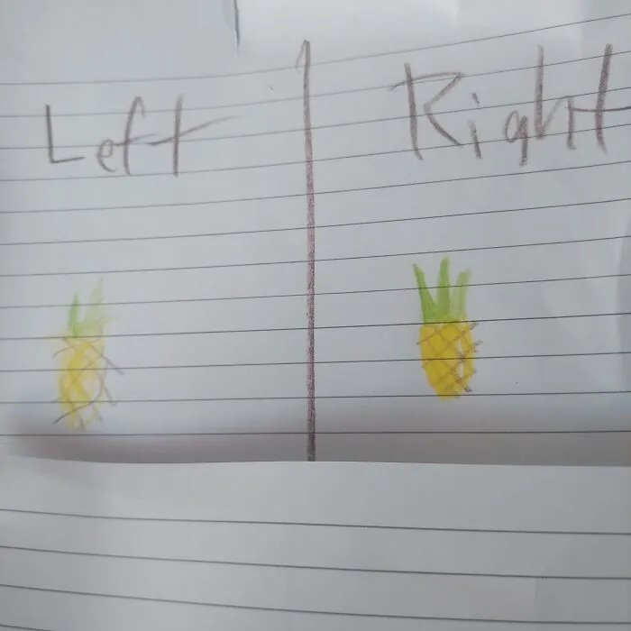 Left vs. Right