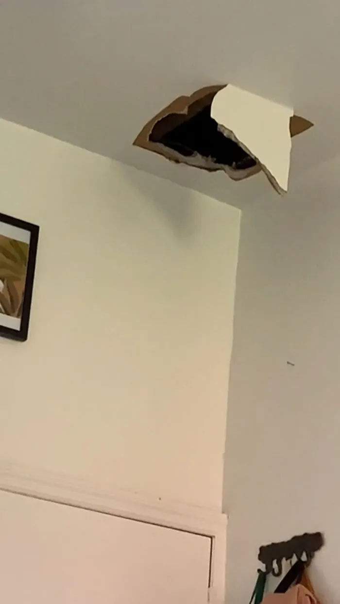 My Super Kicked A Hole Through The Ceiling This Morning, Then Poked His Head Through To Apologize. I Was Naked.