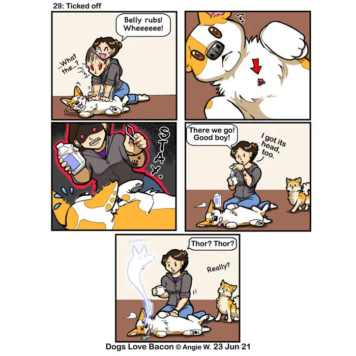 Adventures Of Living With Two Rescue Dogs: 26 Comics I’ve Made