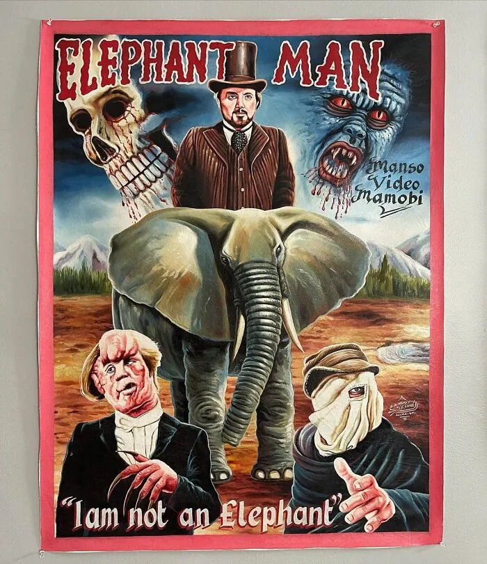 Africans Used To Hand-Paint Movie Posters To Draw People Into Cinemas And They're So Bizarre, They're Wonderful (100 New Pics)