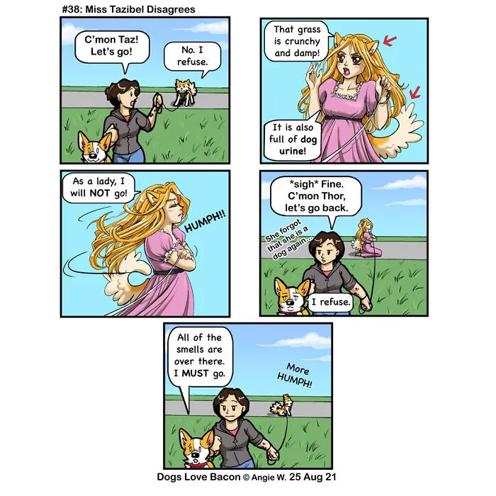 Adventures Of Living With Two Rescue Dogs: 26 Comics I’ve Made