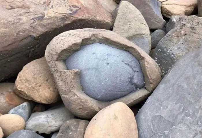 Hard Boiled Rock