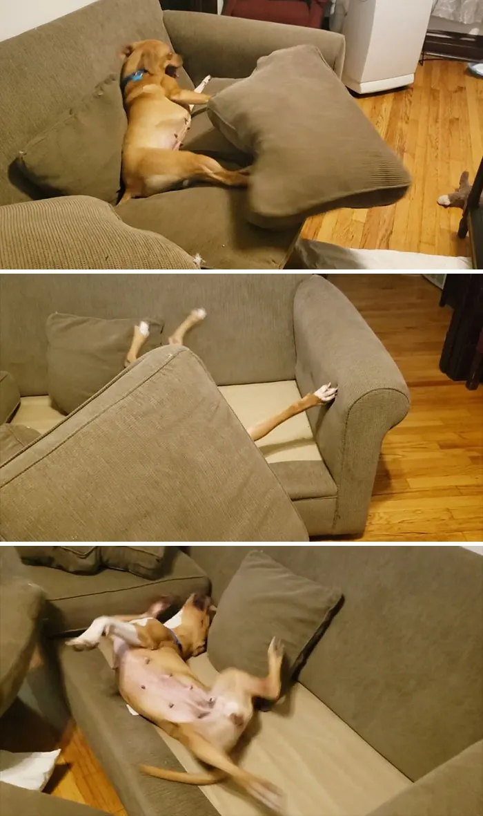 The New Cushion Remover I Ordered Works Like A Dream