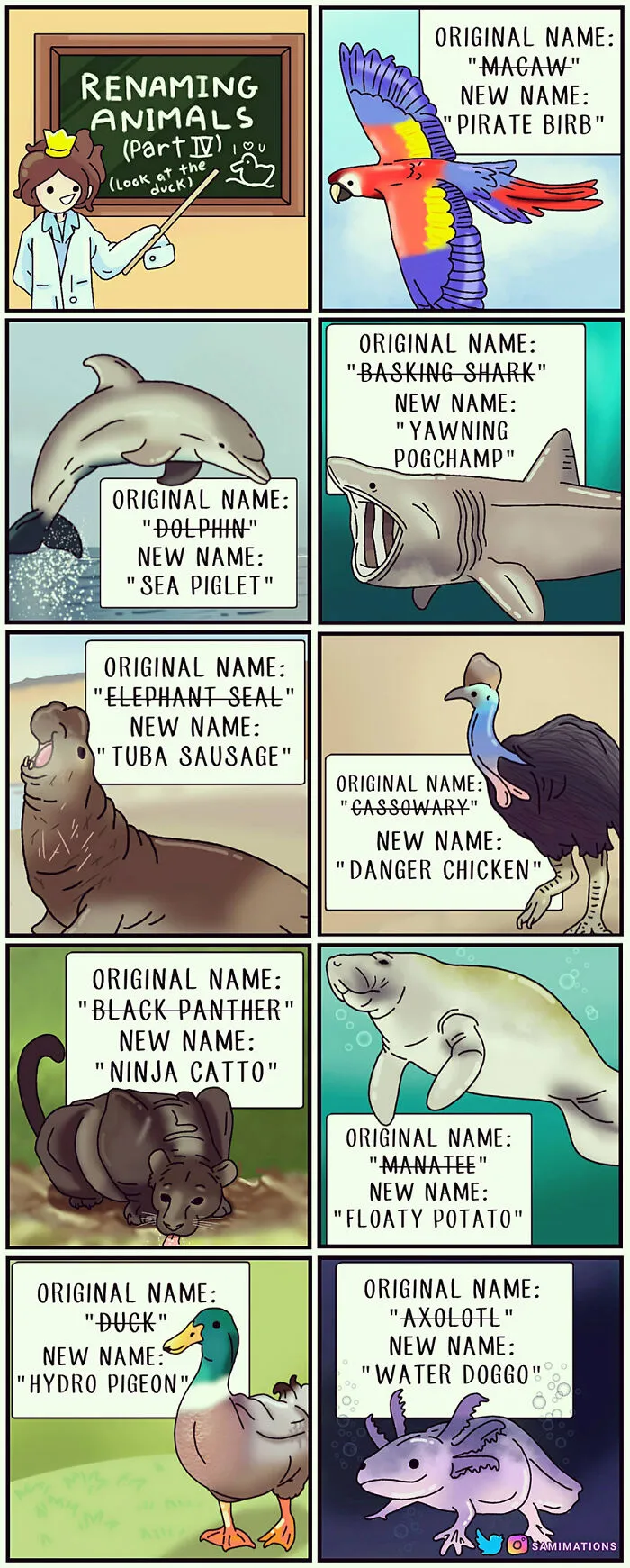 Renaming Animals Part Iv