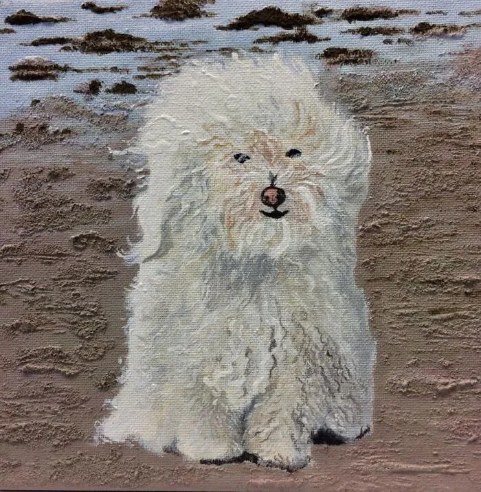 I Tried But He Just Looks Like A Big Furball 😂