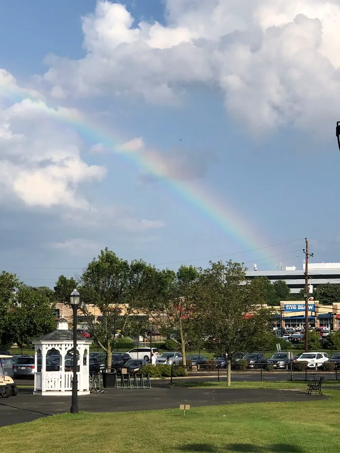 After A Quick Passing Shower-Lovely To See!!