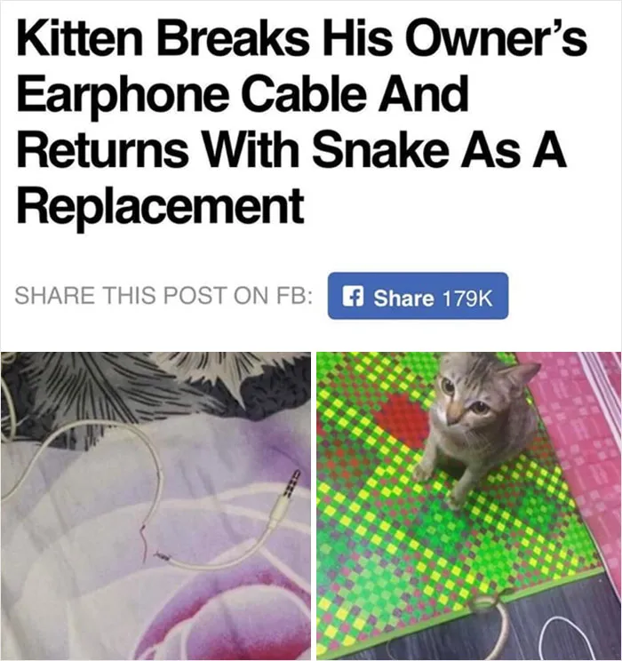 To Be A Good Kitten