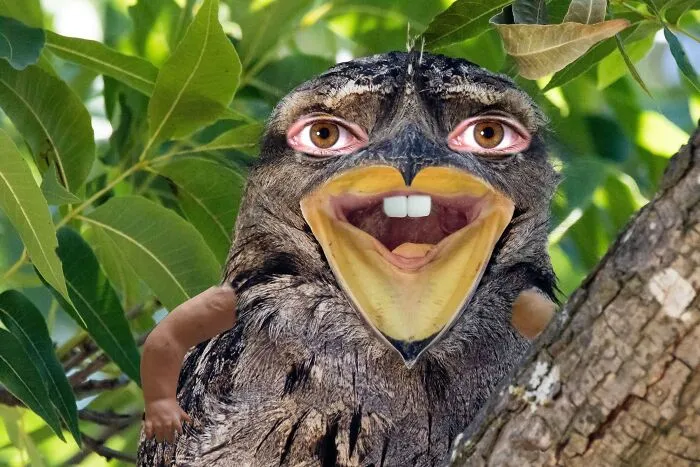 Why Did I Make This??? I Regret Life.