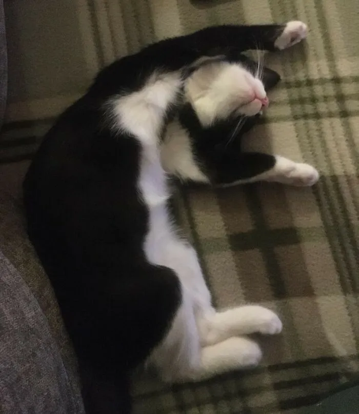 Sleepy Little Girl...