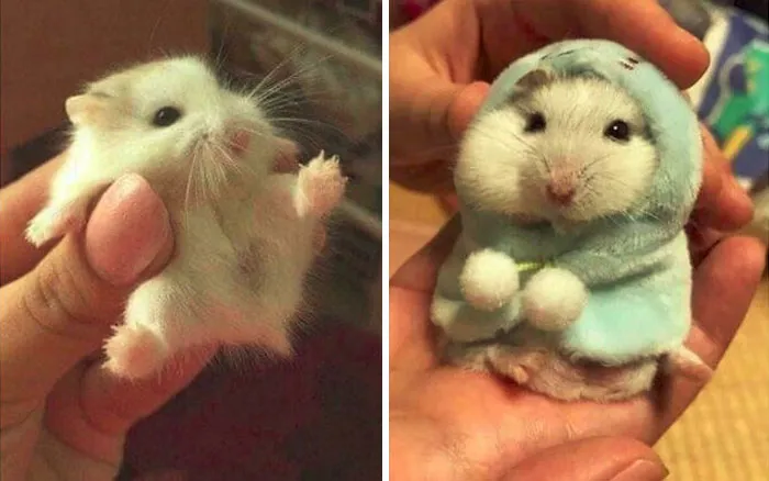 Looks So Comfy!