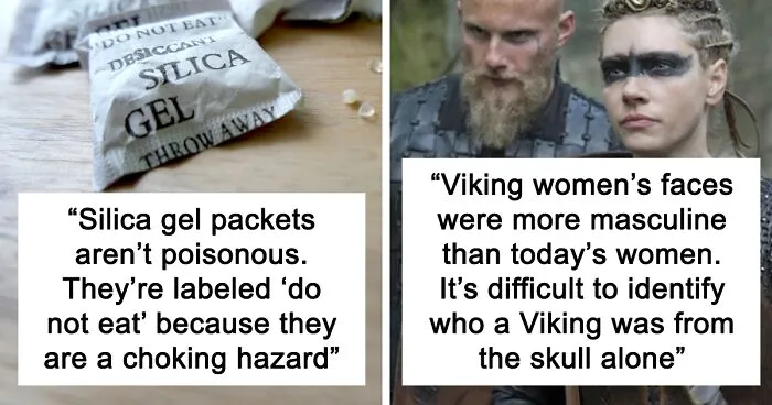 ‘Today I Learned’: 40 Interesting Things People Didn’t Learn At School (New Pics)