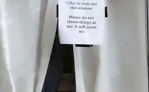50 Signs That Only Exist Because Some People Are Beyond Terrible