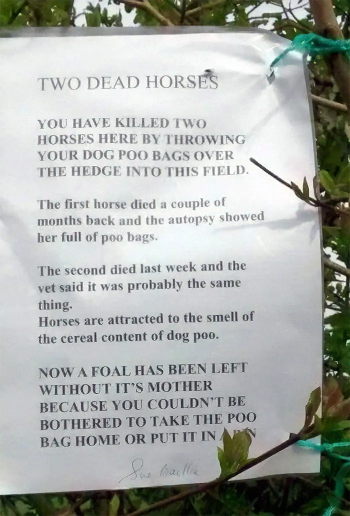 Take Your [poop] Home