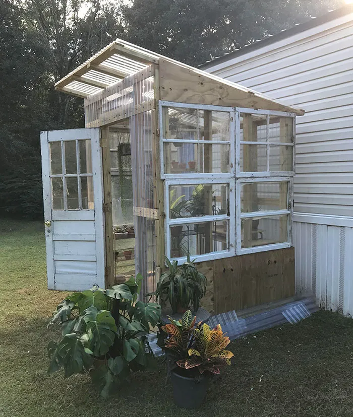 Husband Built Me A Greenhouse For My Succulents. Much Needed When It Monsoons Every Single Day In Mobile, AL