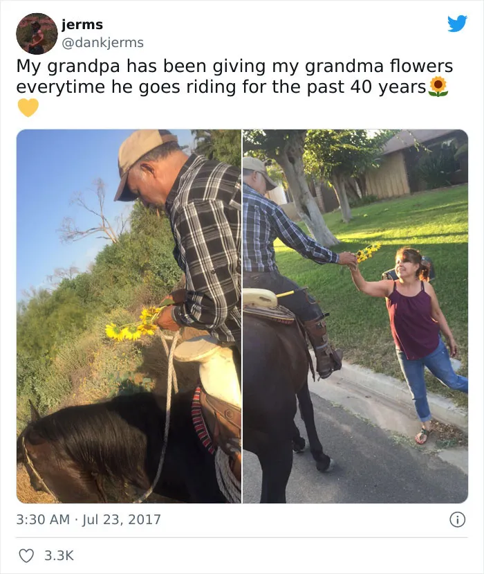 Wholesome