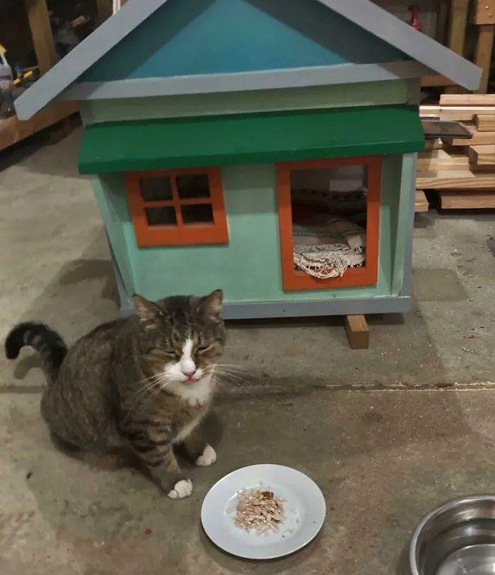 Dejé de ir a casa de mis suegros para poder pasar Acción de Gracias con el gato callejero que vive en mi garaje