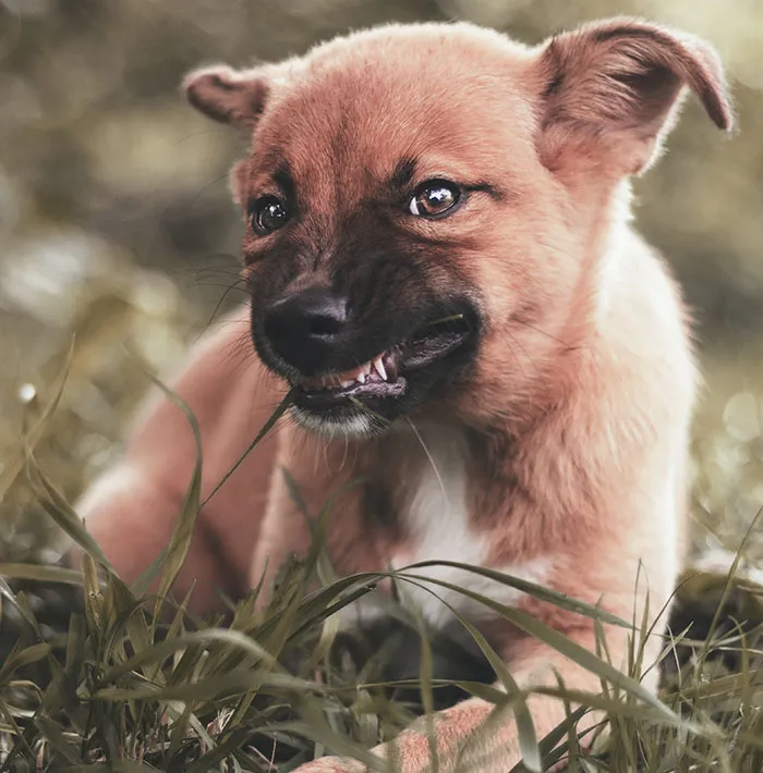 30 People Share How Their Horrible Neighbors Made Their Lives More Difficult (New Stories)