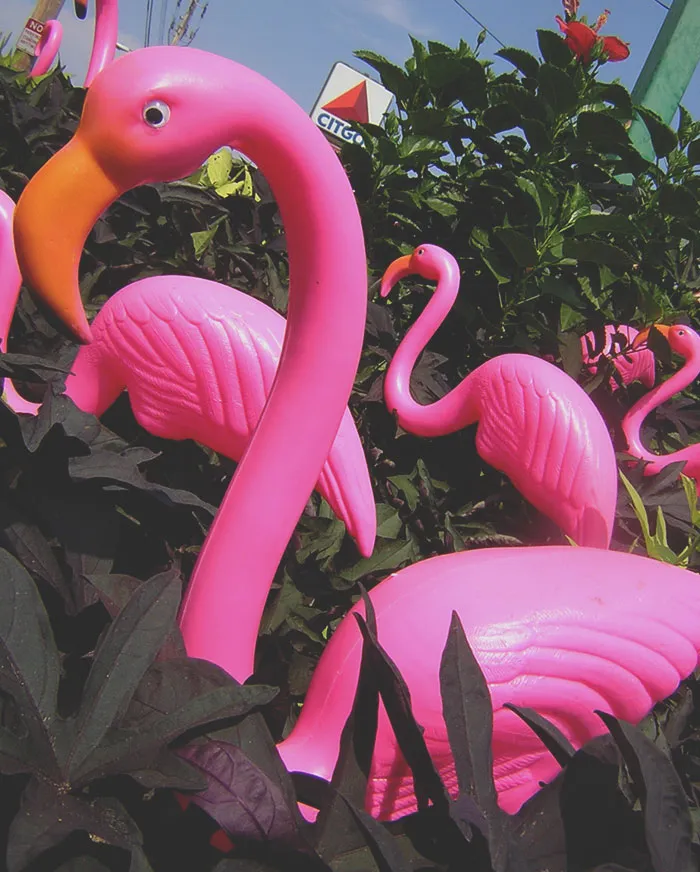 30 People Share How Their Horrible Neighbors Made Their Lives More Difficult (New Stories)