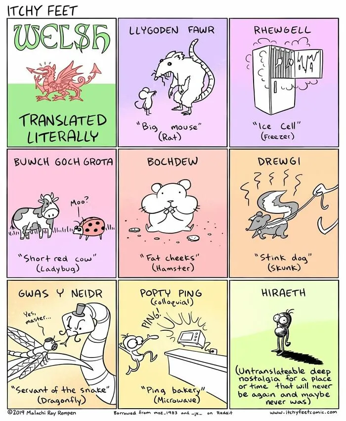 30 New Comics That Show The Funny Differences Between Different Countries And Languages