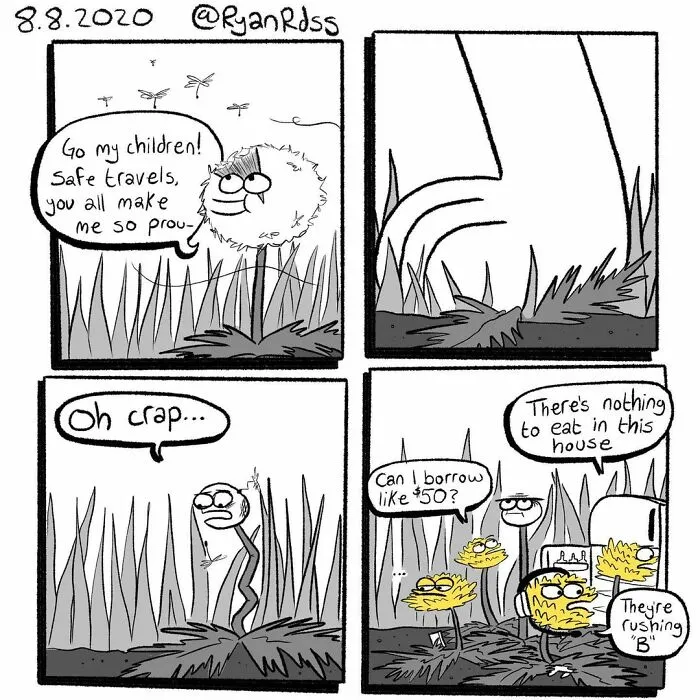 30 Comics That Depict Situations When Life Is Not Going According To Plan By Ryan Rds