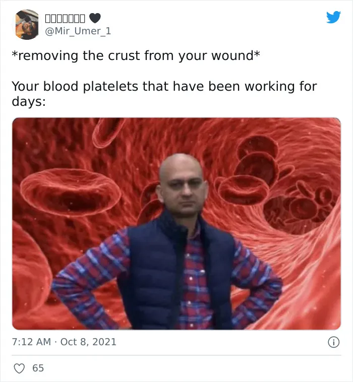 Crust