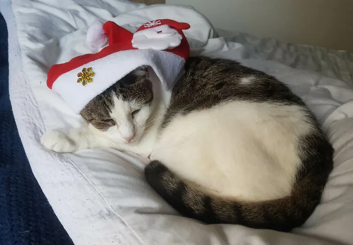 Christmas Day 2020