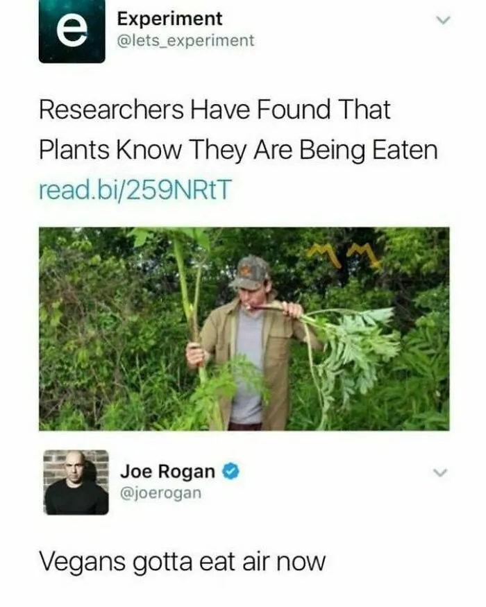 Lmao Tag A Vegan