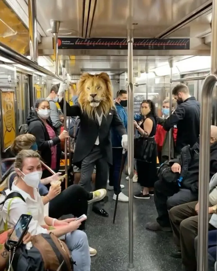 Lion King